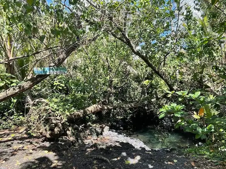 Guest house Kope Hale Farm Private Guest Studio For Coffee Lovers Pahoa United States