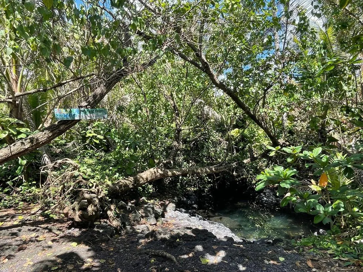 Pahoa Kope Hale Coffee Farm Private Studio Near Volcano Park בית הארחה